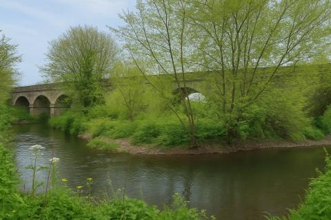 Old Coleham Court